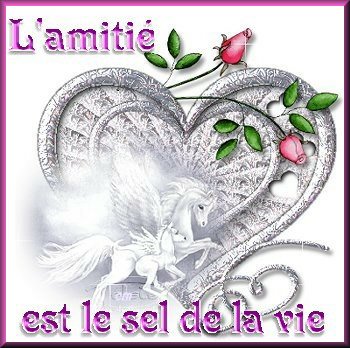 l'amitié est 